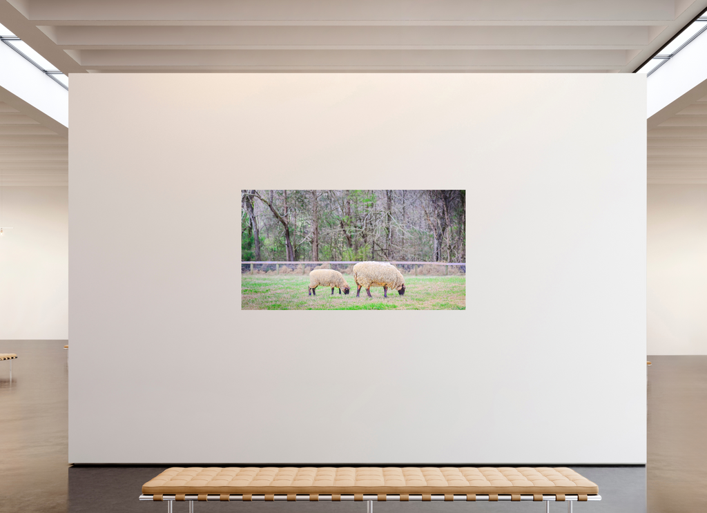 ranquil Pastures Serene Countryside Landscape Wall Art
