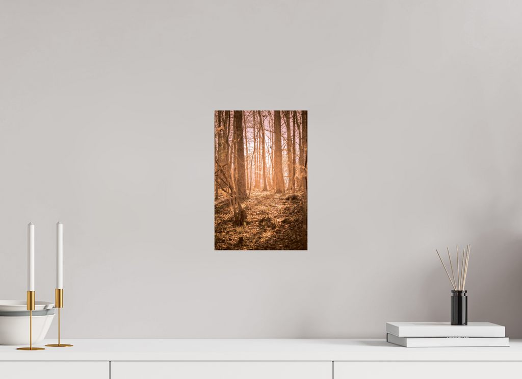 golden solitude forest landscape wall art photography