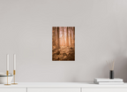 golden solitude forest landscape wall art photography