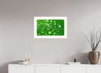Emerald Morning Dew Luxury Hydrating Beauty