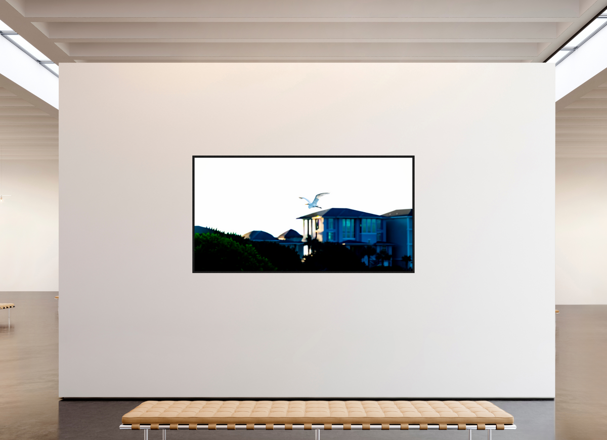 90.4 x 47″, Floater Frame White Egret Flying Over Coastal Beach House