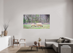 ranquil Pastures Serene Countryside Landscape Wall Art