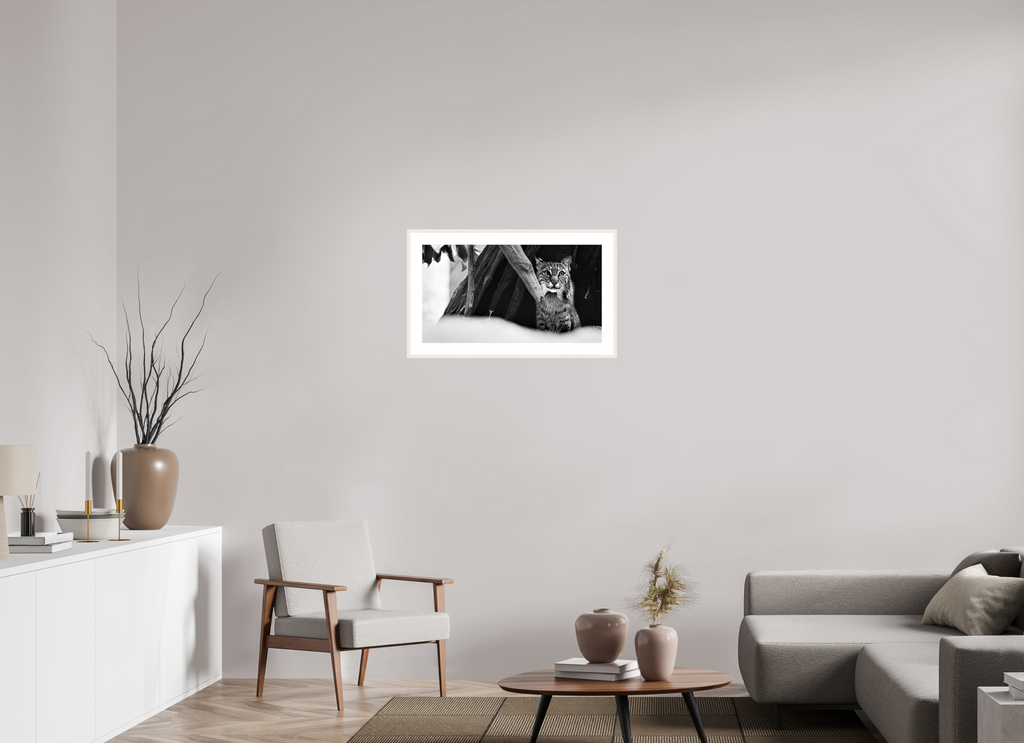 28.9 x 16″, Changeable Magnetic Frame Lynx Dreams