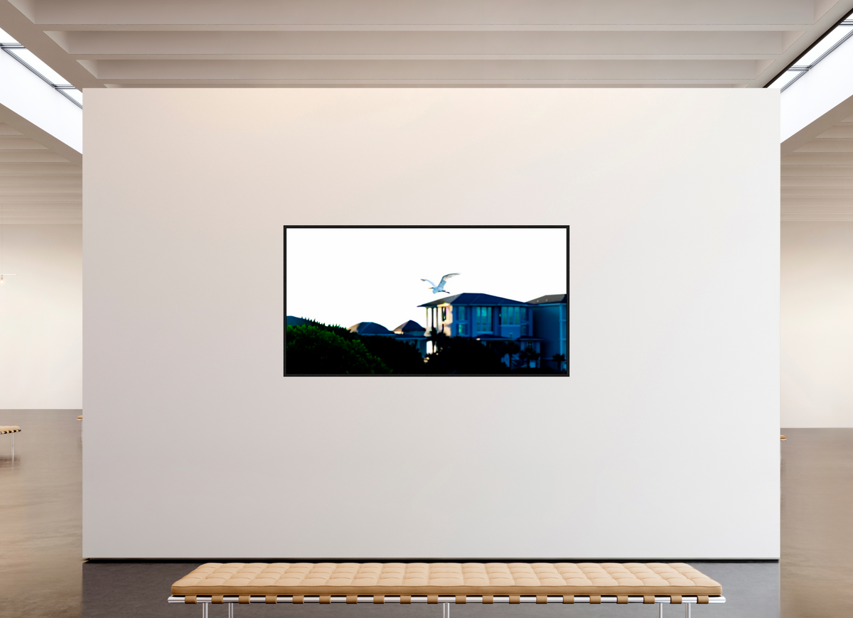 82.7 x 43″, Floater Frame White Egret Flying Over Coastal Beach House