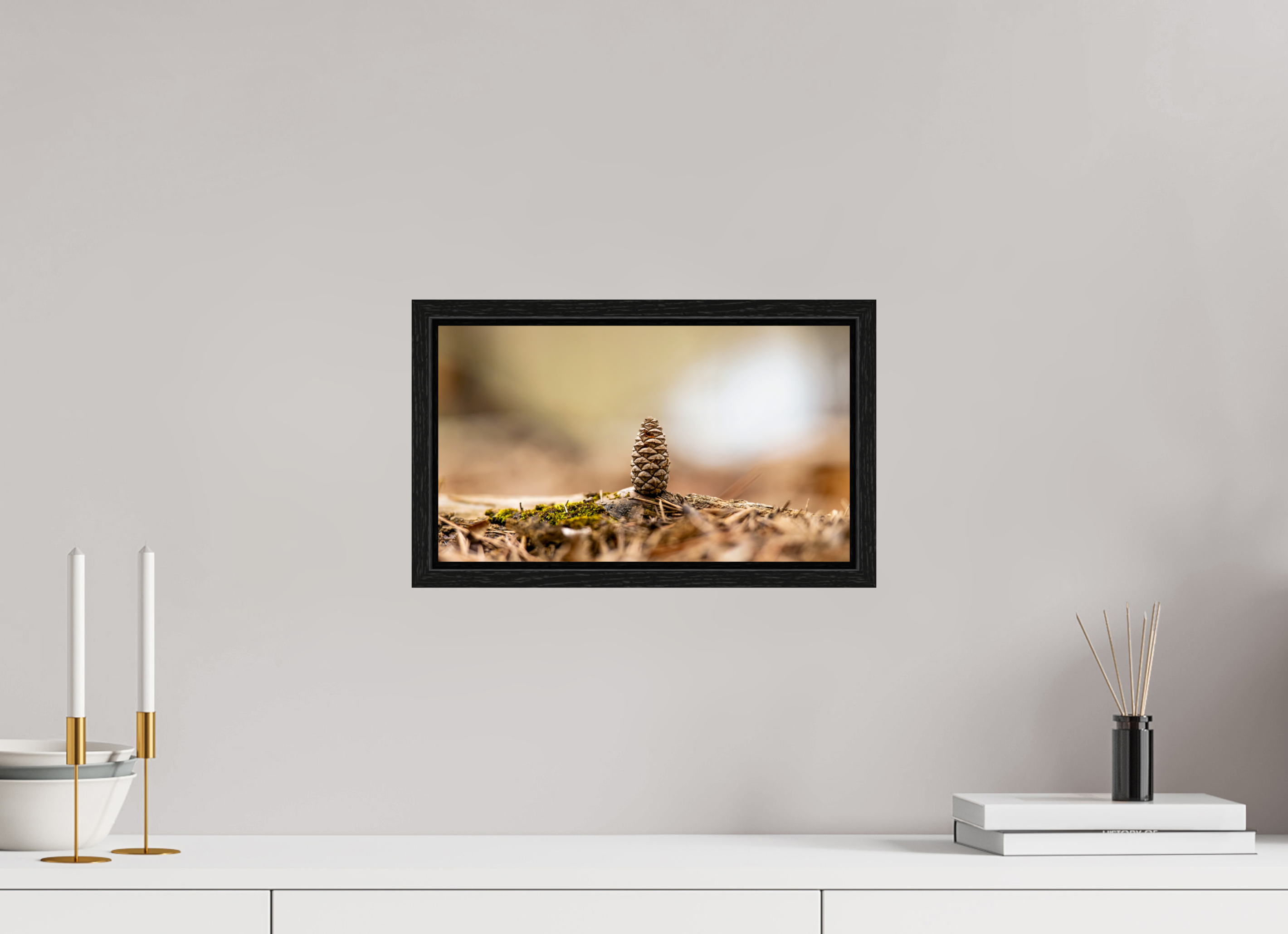 13.9 x 8″, Floater Frame Macro Cone