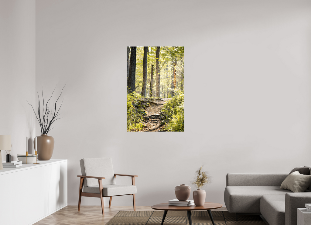 morning light golden forest fine art wall art photography