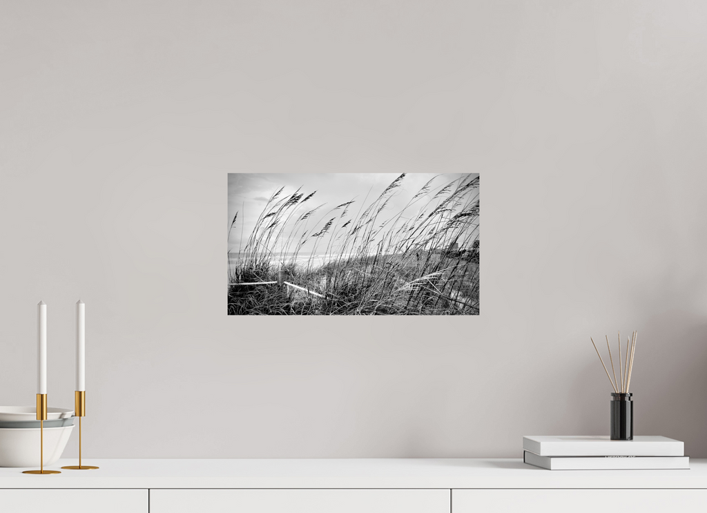 16 x 9″, Photo Print On Fuji Crystal DP II Whispering Sea Oats