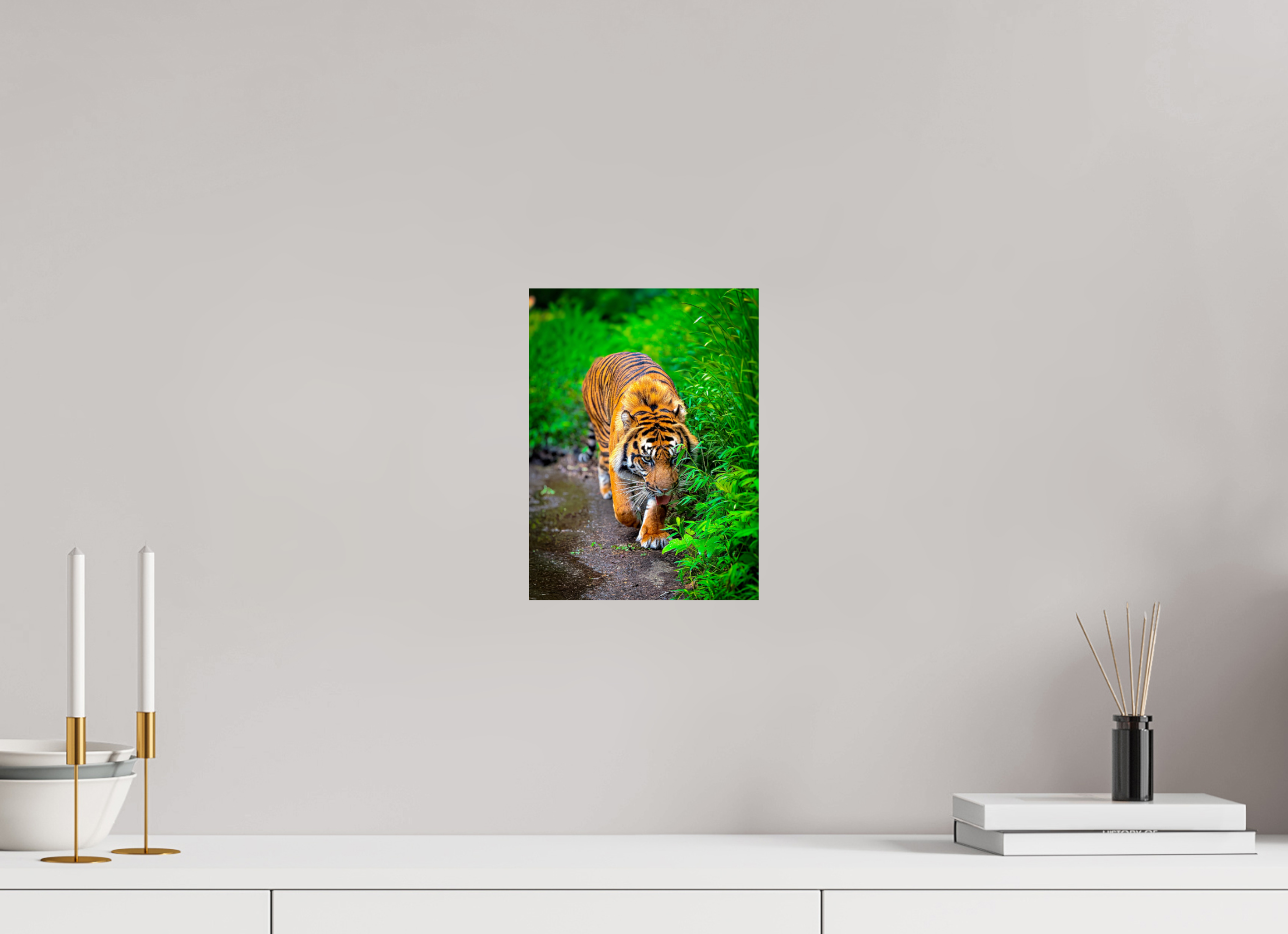 8 x 10.9″, Photo Print On Fuji Crystal DP II On the Prowl