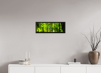 23.7 x 8″, Floater Frame Lurking Reflections