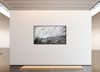 80 x 45″, Floater Frame Whispering Sea Oats