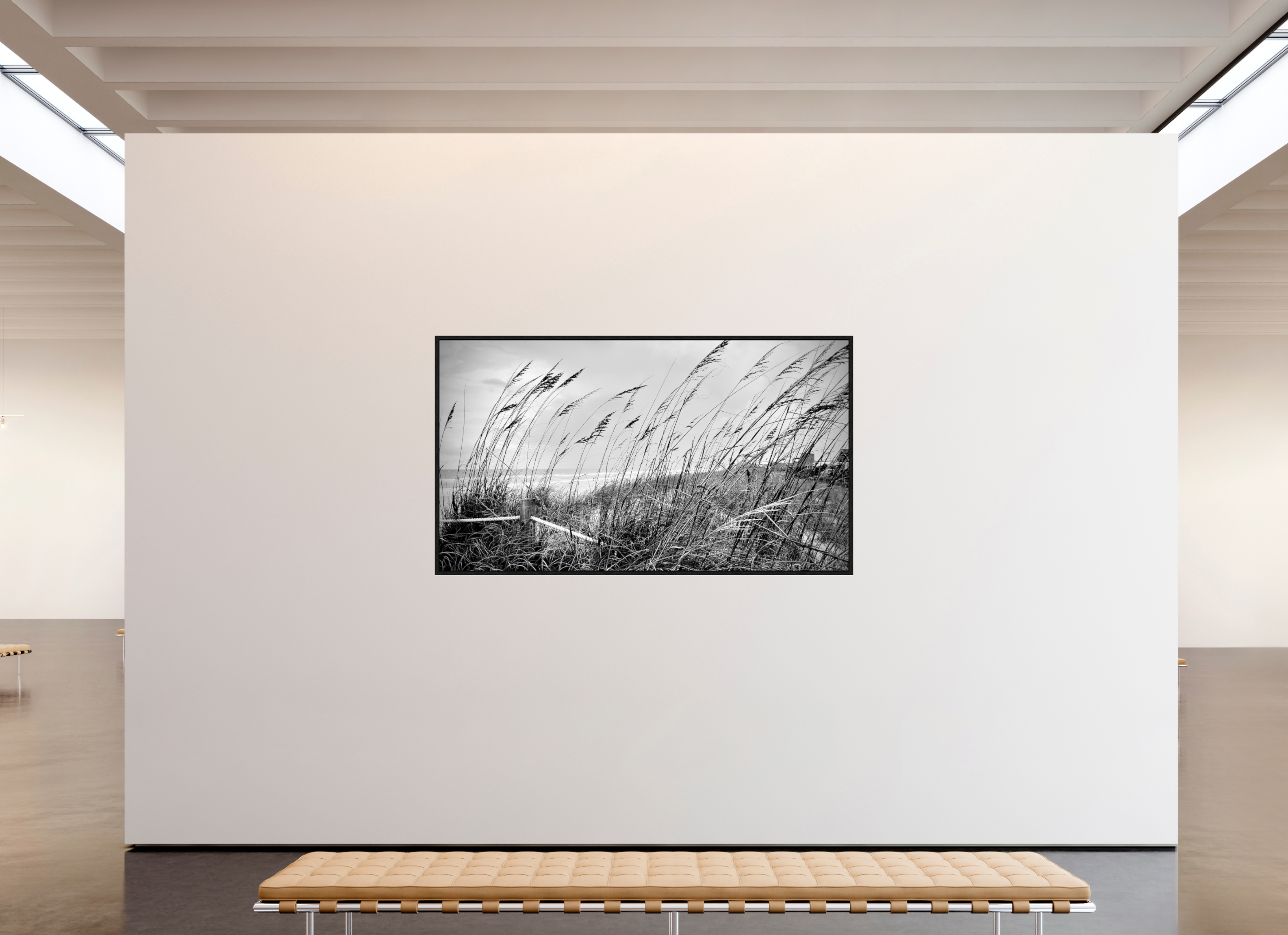 80 x 45″, Floater Frame Whispering Sea Oats