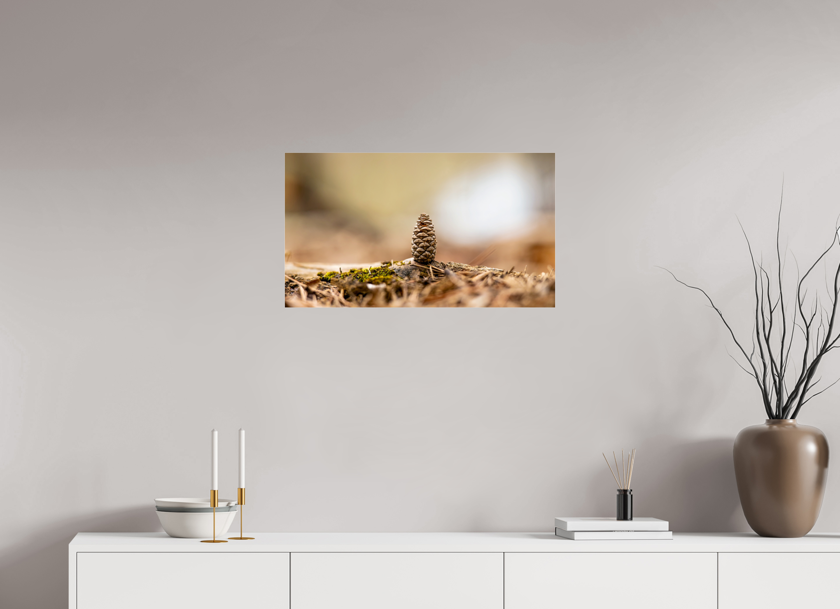 27.9 x 16″, Photo Print Under Acrylic Glass Macro Cone