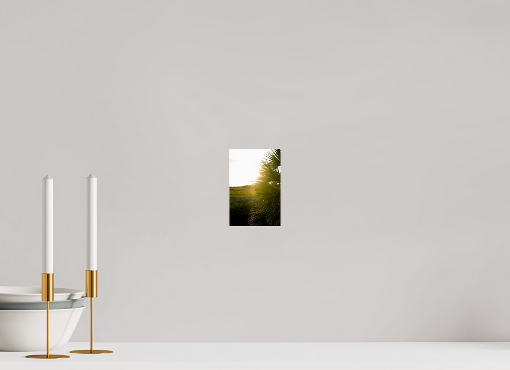 4 x 6″, Photo Print Under Acrylic Glass Golden Hour Sunset Through Palm Fronds in Coastal Marshland