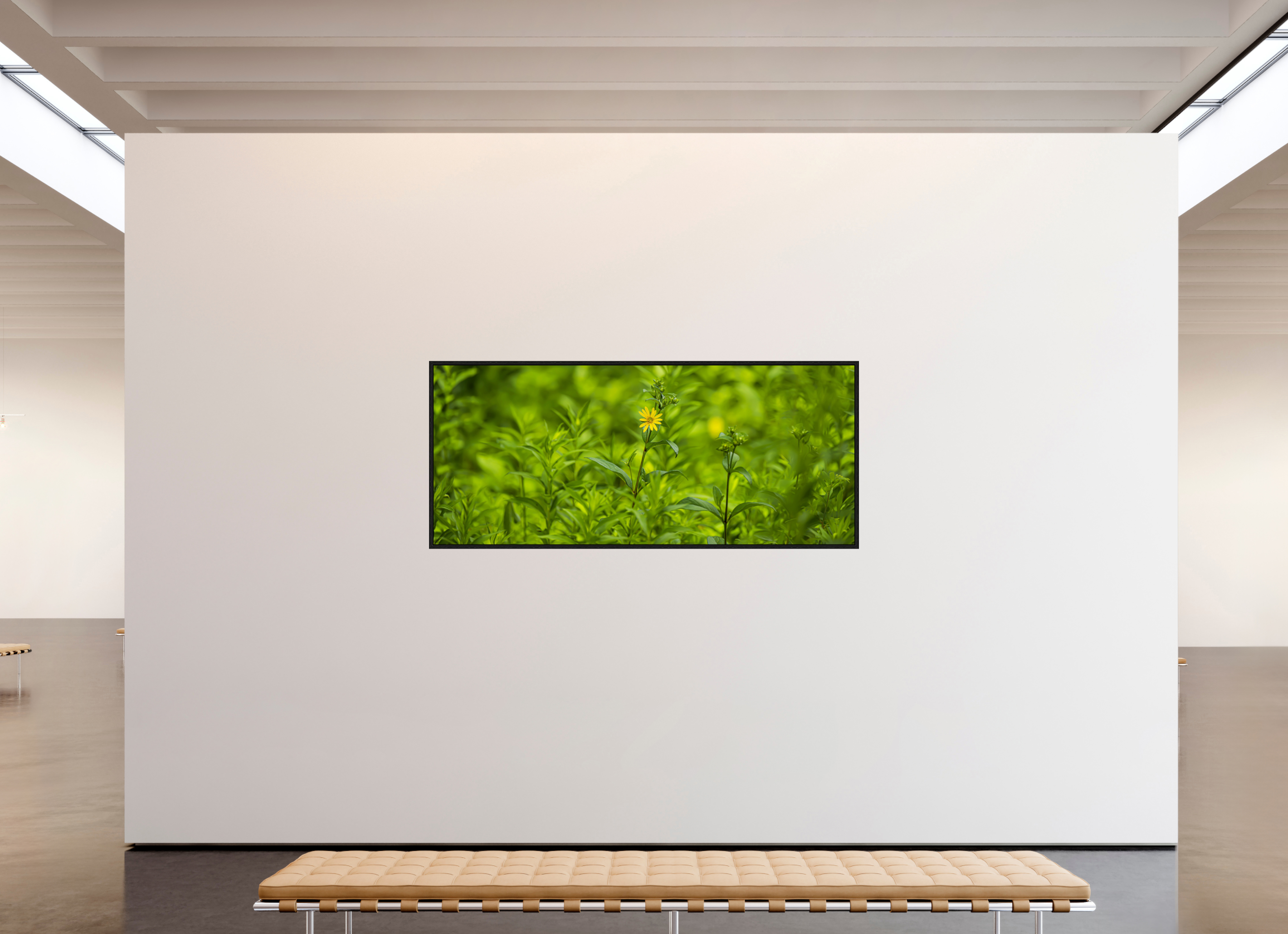 82.3 x 35″, Floater Frame Lonely Bloom
