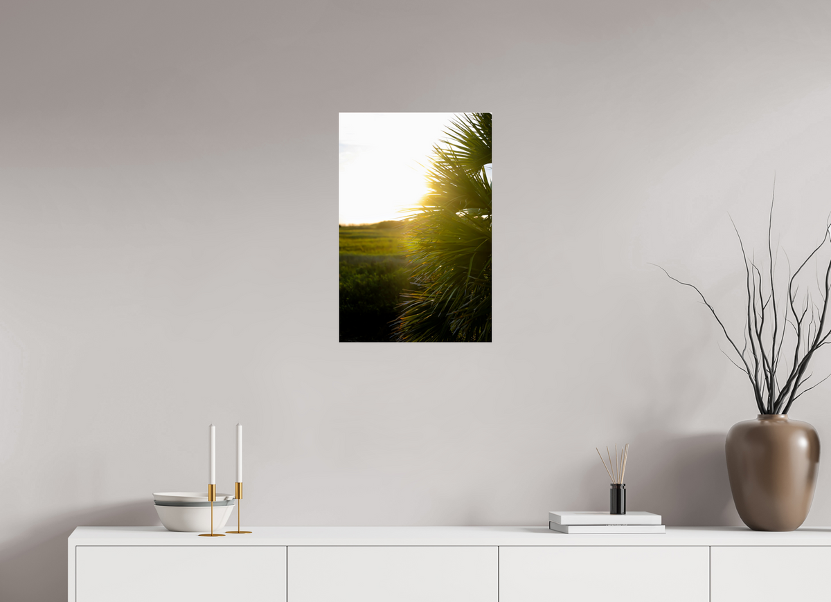 16 x 24″, Photo Print Under Acrylic Glass Golden Hour Sunset Through Palm Fronds in Coastal Marshland