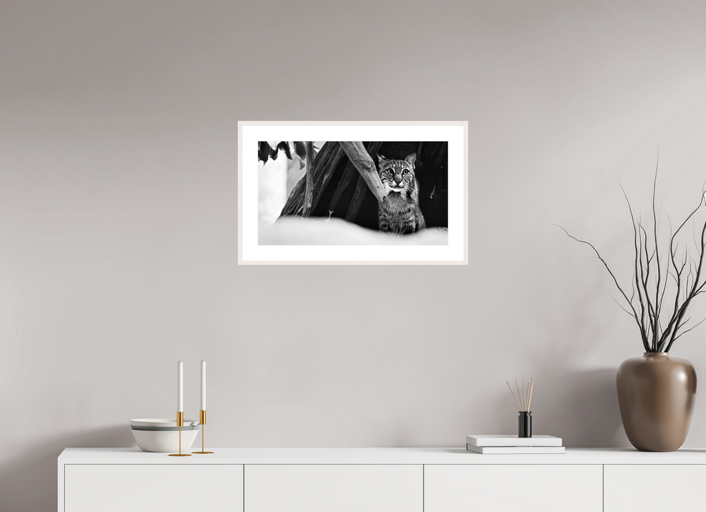 23.5 x 13″, Changeable Magnetic Frame Lynx Dreams