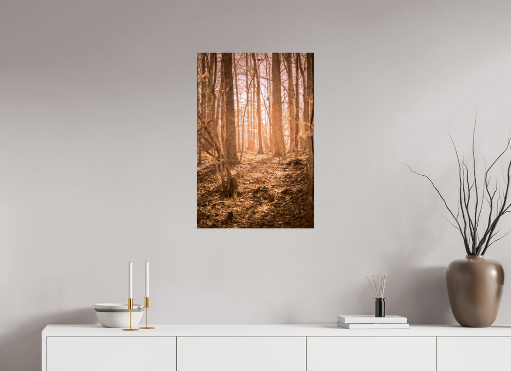 golden solitude forest landscape wall art photography