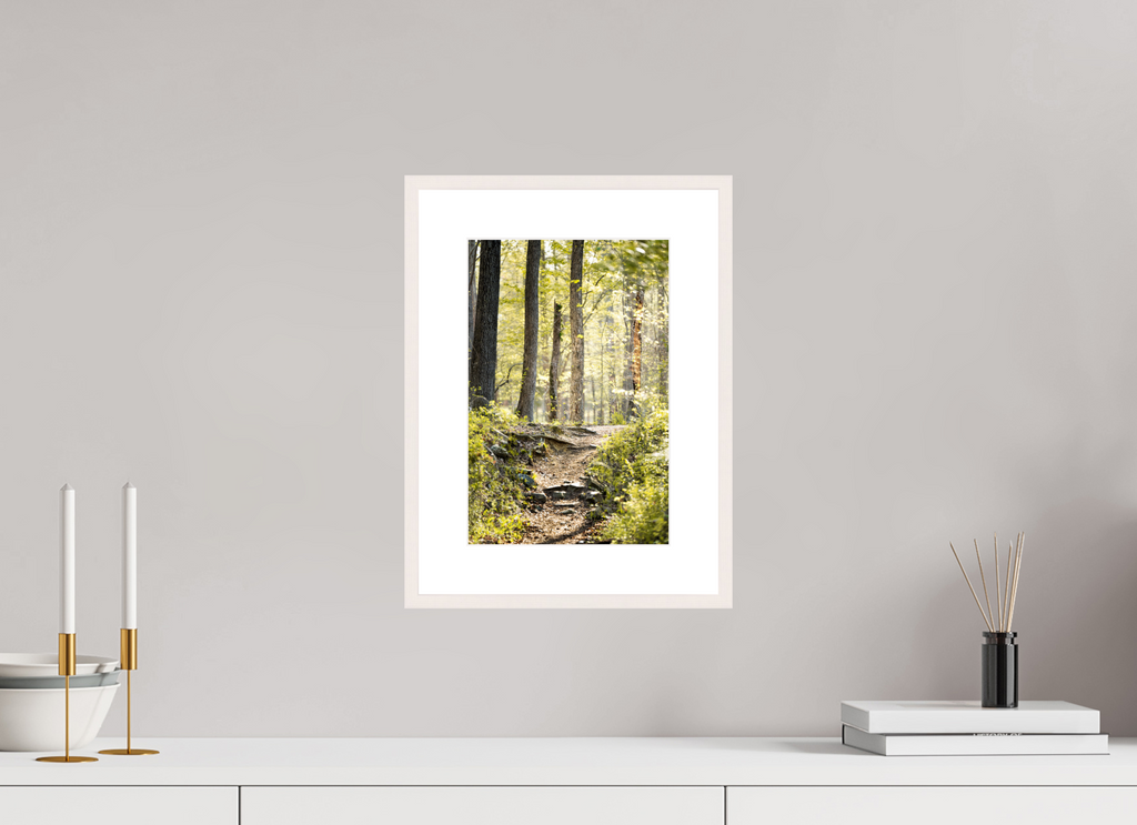 morning light golden forest fine art wall art photography