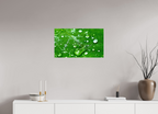 Emerald Morning Dew Luxury Hydrating Beauty