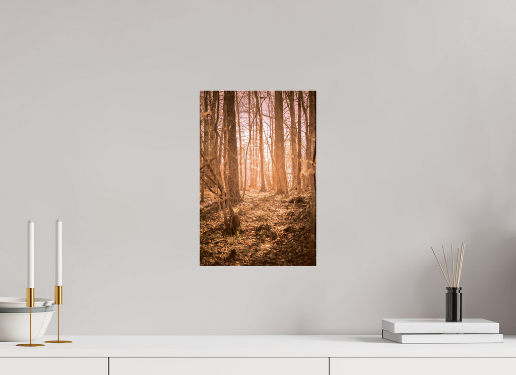 golden solitude forest landscape wall art photography