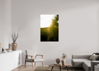 30 x 45″, Photo Print Under Acrylic Glass Golden Hour Sunset Through Palm Fronds in Coastal Marshland