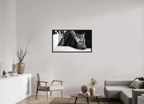 43.4 x 24″, Floater Frame Lynx Dreams