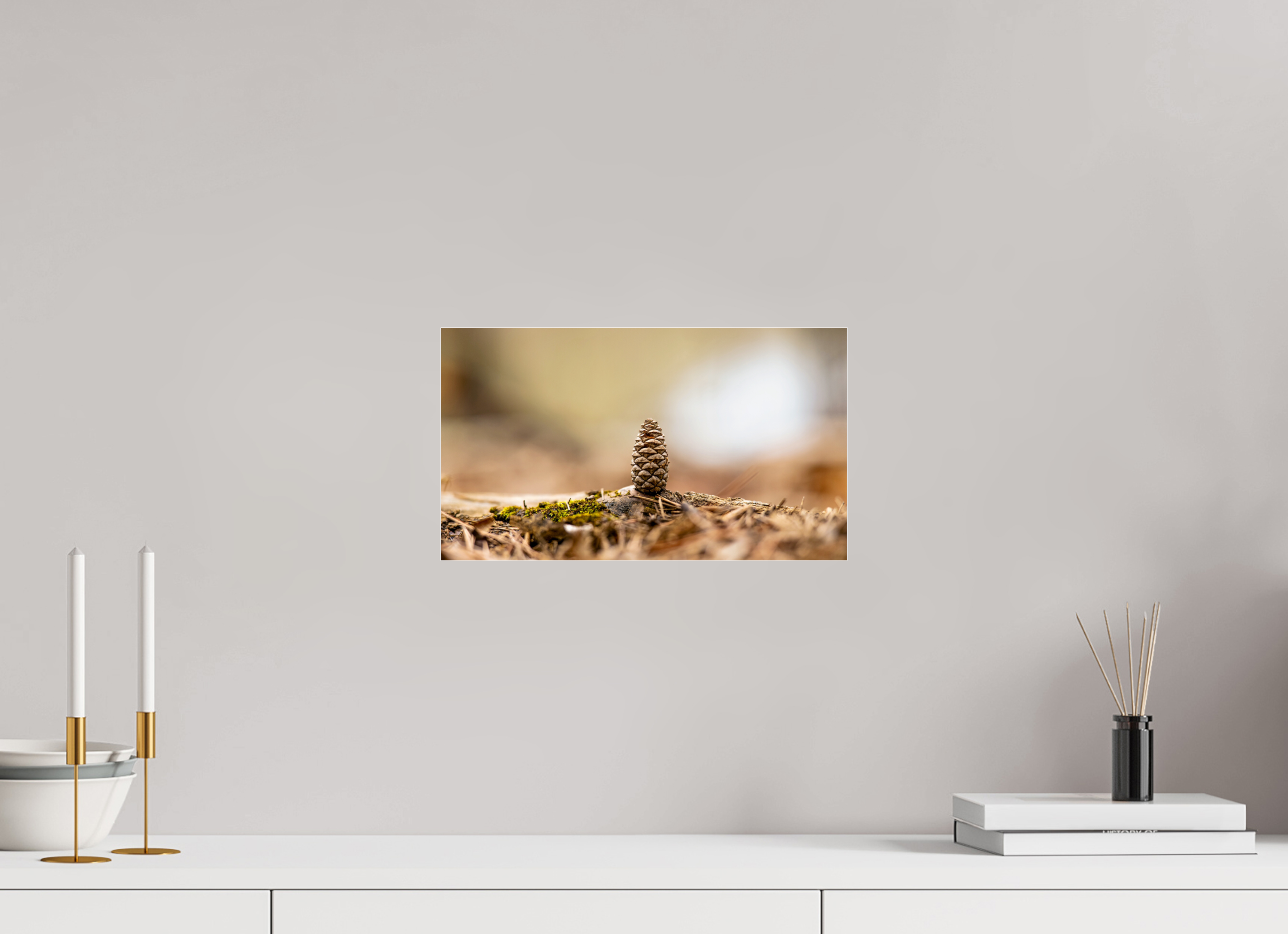 13.9 x 8″, Photo Print Under Acrylic Glass Macro Cone