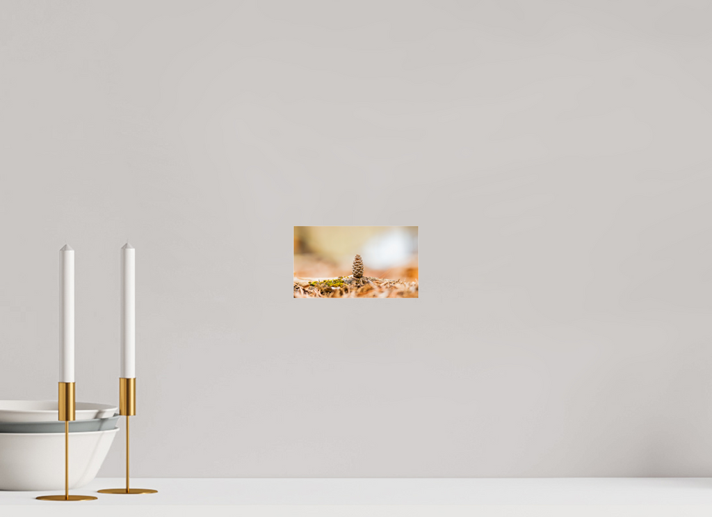 Macro Cone Modern Abstract Textured Wall Art