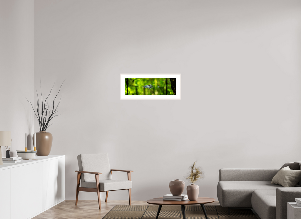 28.1 x 9.5″, Changeable Magnetic Frame Lurking Reflections