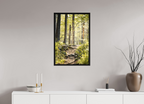 morning light golden forest fine art wall art photography
