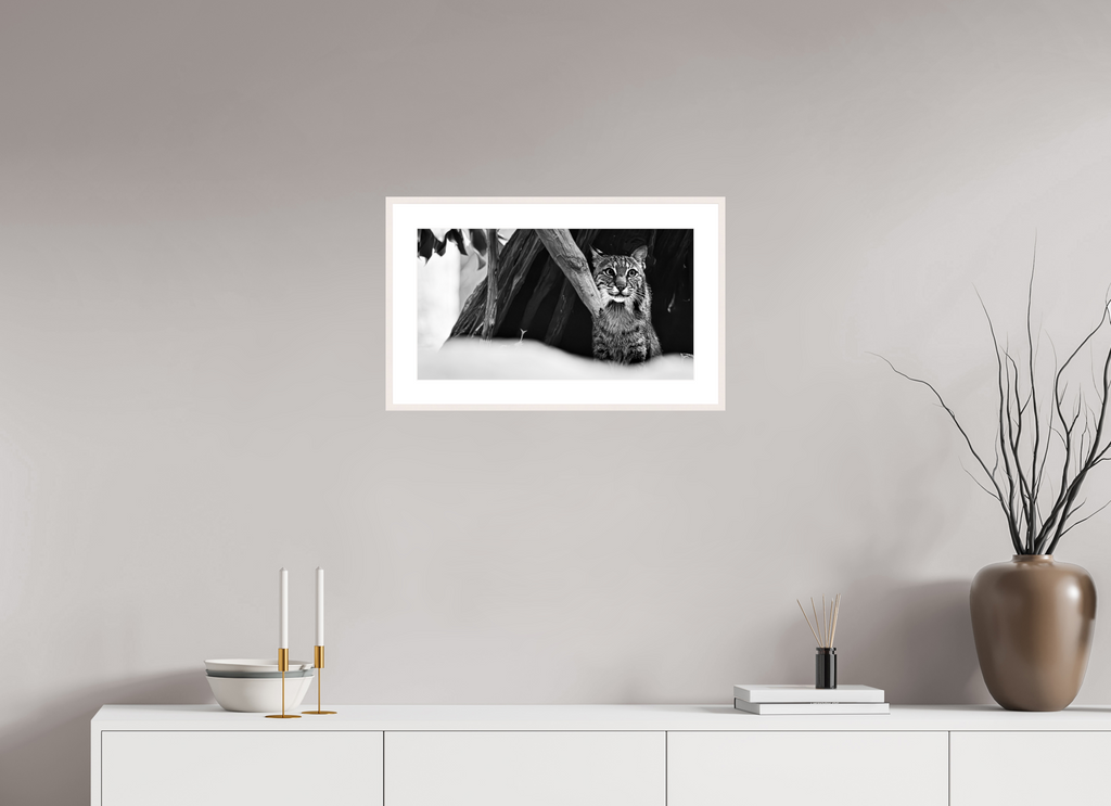 21.7 x 12″, Changeable Magnetic Frame Lynx Dreams