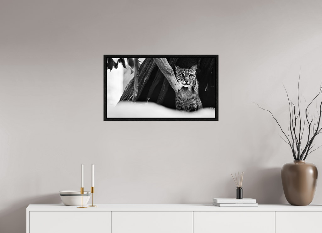 28.9 x 16″, Floater Frame Lynx Dreams