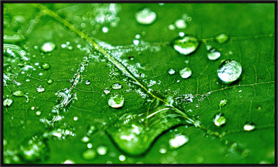 Main image Emerald Morning Dew