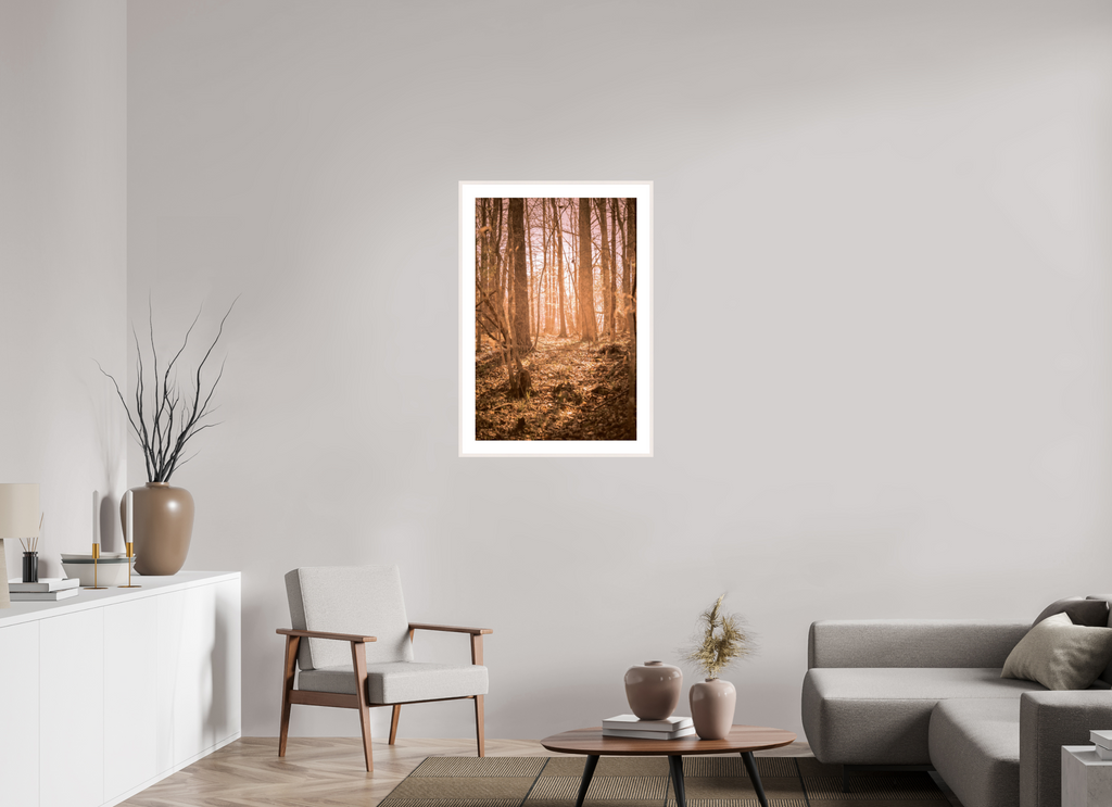 golden solitude forest landscape wall art photography