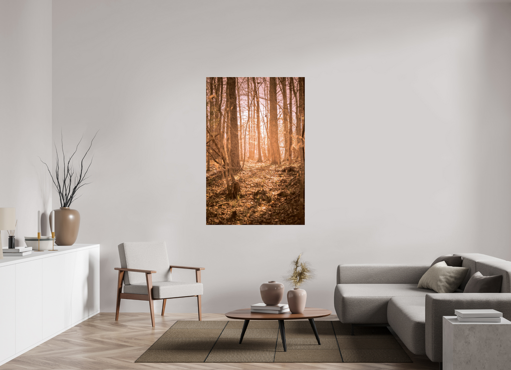 golden solitude forest landscape wall art photography