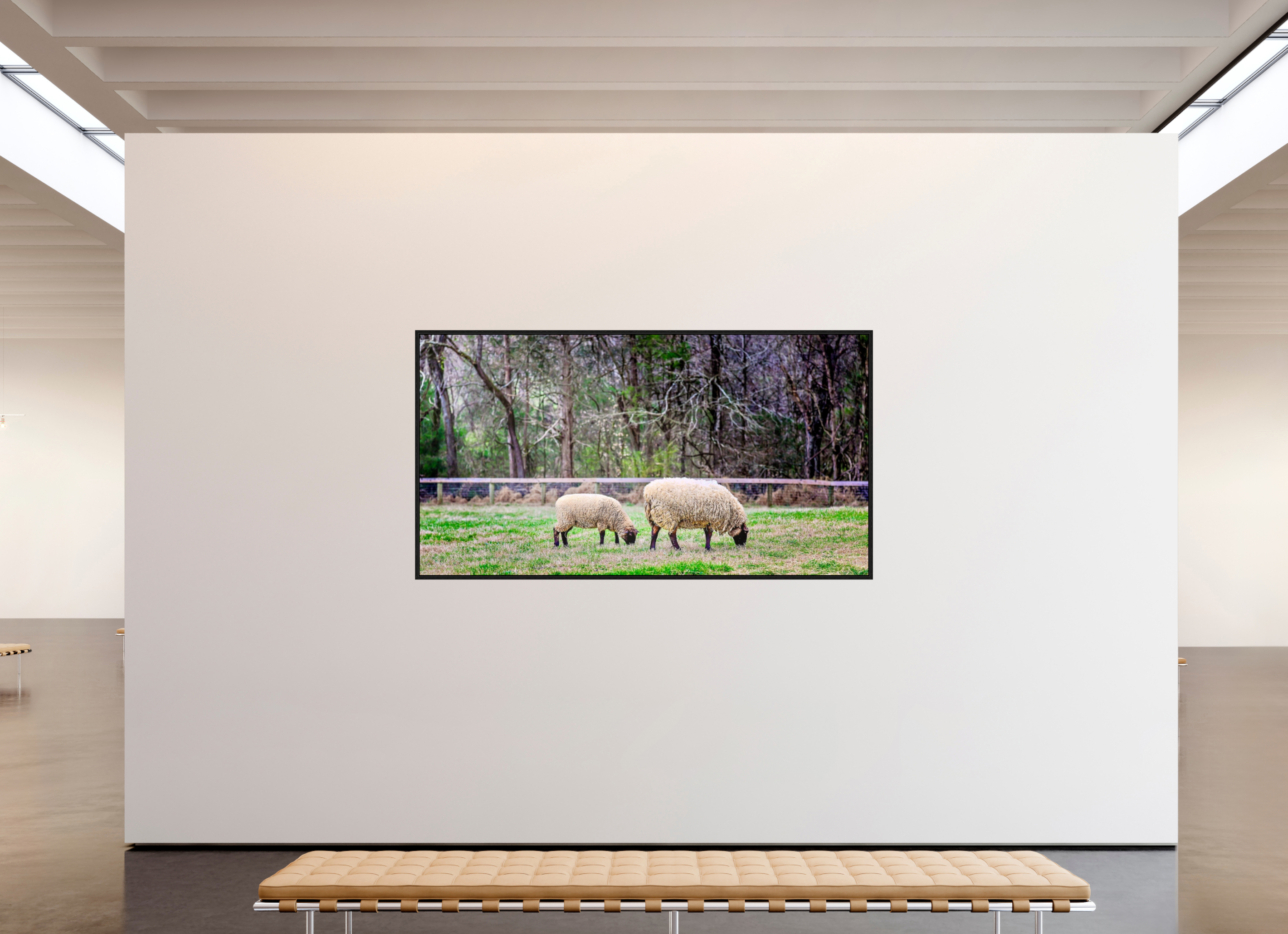 87.7 x 47″, Floater Frame Tranquil Pastures