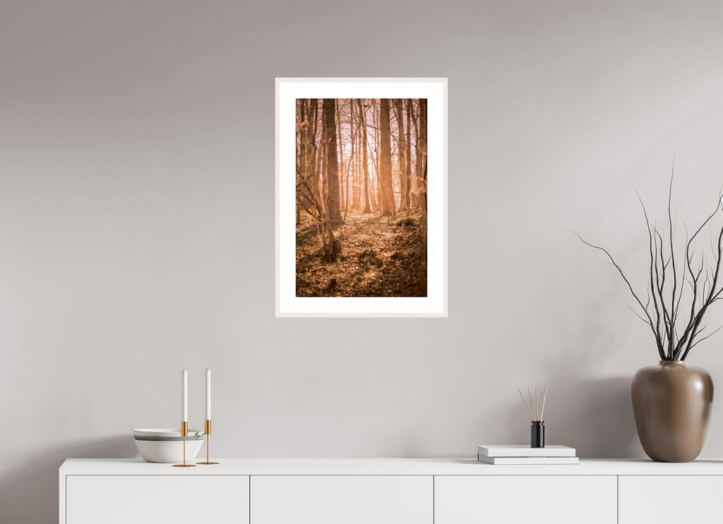 golden solitude forest landscape wall art photography