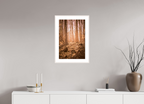 golden solitude forest landscape wall art photography