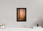 golden solitude forest landscape wall art photography