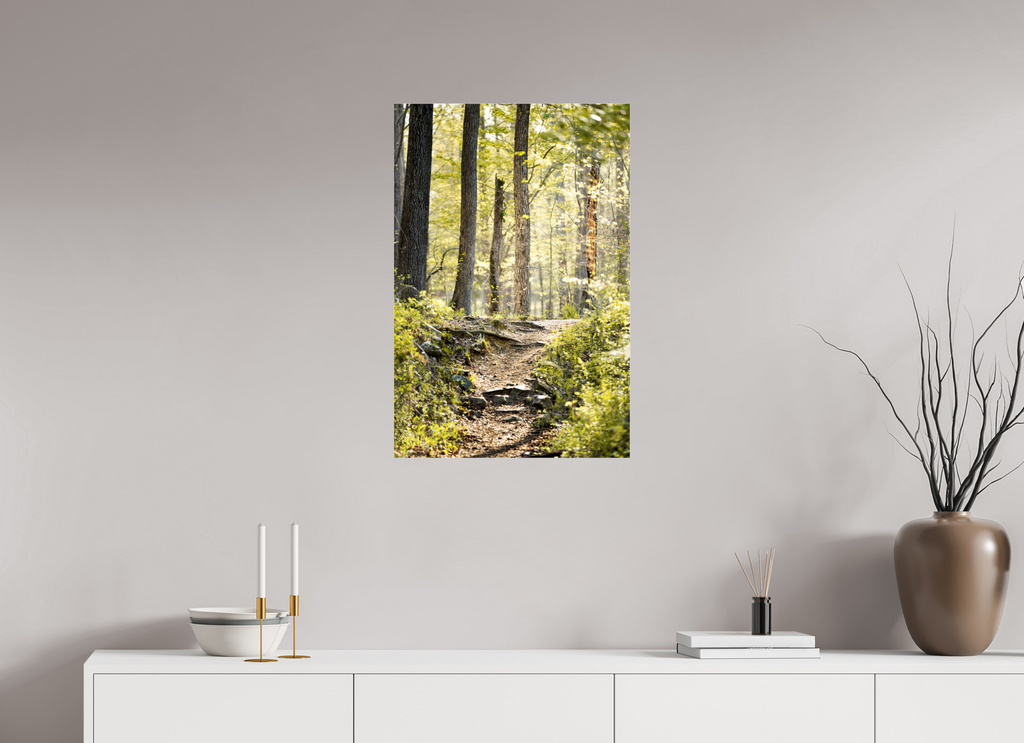 morning light golden forest fine art wall art photography