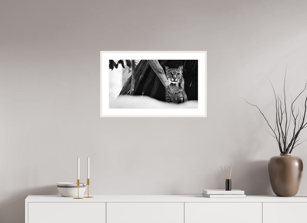 25.3 x 14″, Changeable Magnetic Frame Lynx Dreams