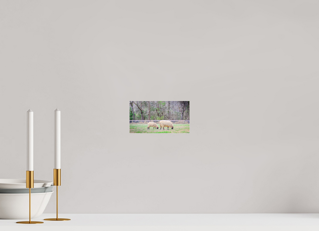 ranquil Pastures Serene Countryside Landscape Wall Art