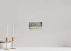 ranquil Pastures Serene Countryside Landscape Wall Art