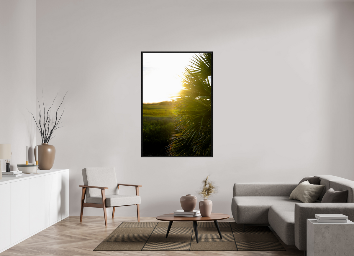 40 x 60″, Floater Frame Golden Hour Sunset Through Palm Fronds in Coastal Marshland