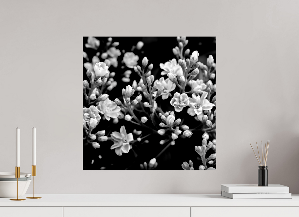 20 x 20″, Photo Print On Fuji Crystal DP II Midnight Blossoms black and white floral fine art print