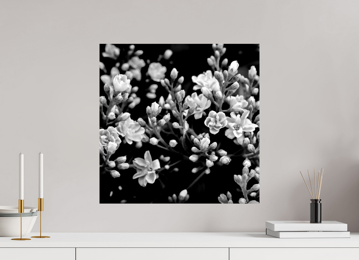 20 x 20″, Photo Print On Fuji Crystal DP II Midnight Blossoms black and white floral fine art print