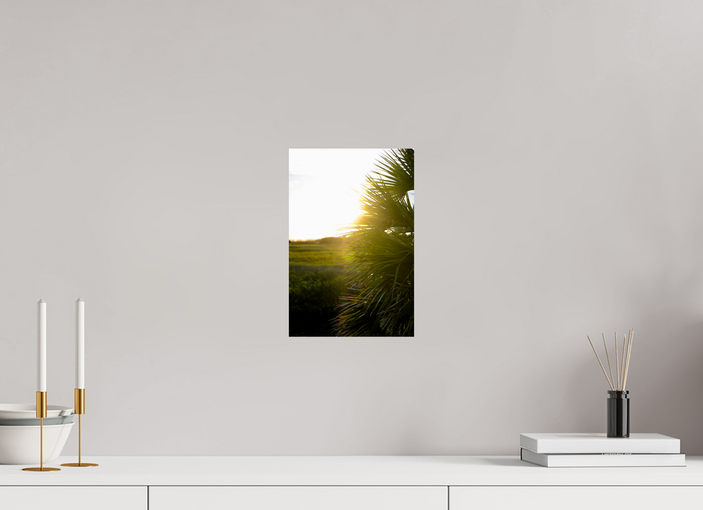 8 x 12″, Photo Print On Fuji Crystal DP II Golden Hour Sunset Through Palm Fronds in Coastal Marshland
