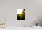 8 x 12″, Photo Print On Fuji Crystal DP II Golden Hour Sunset Through Palm Fronds in Coastal Marshland