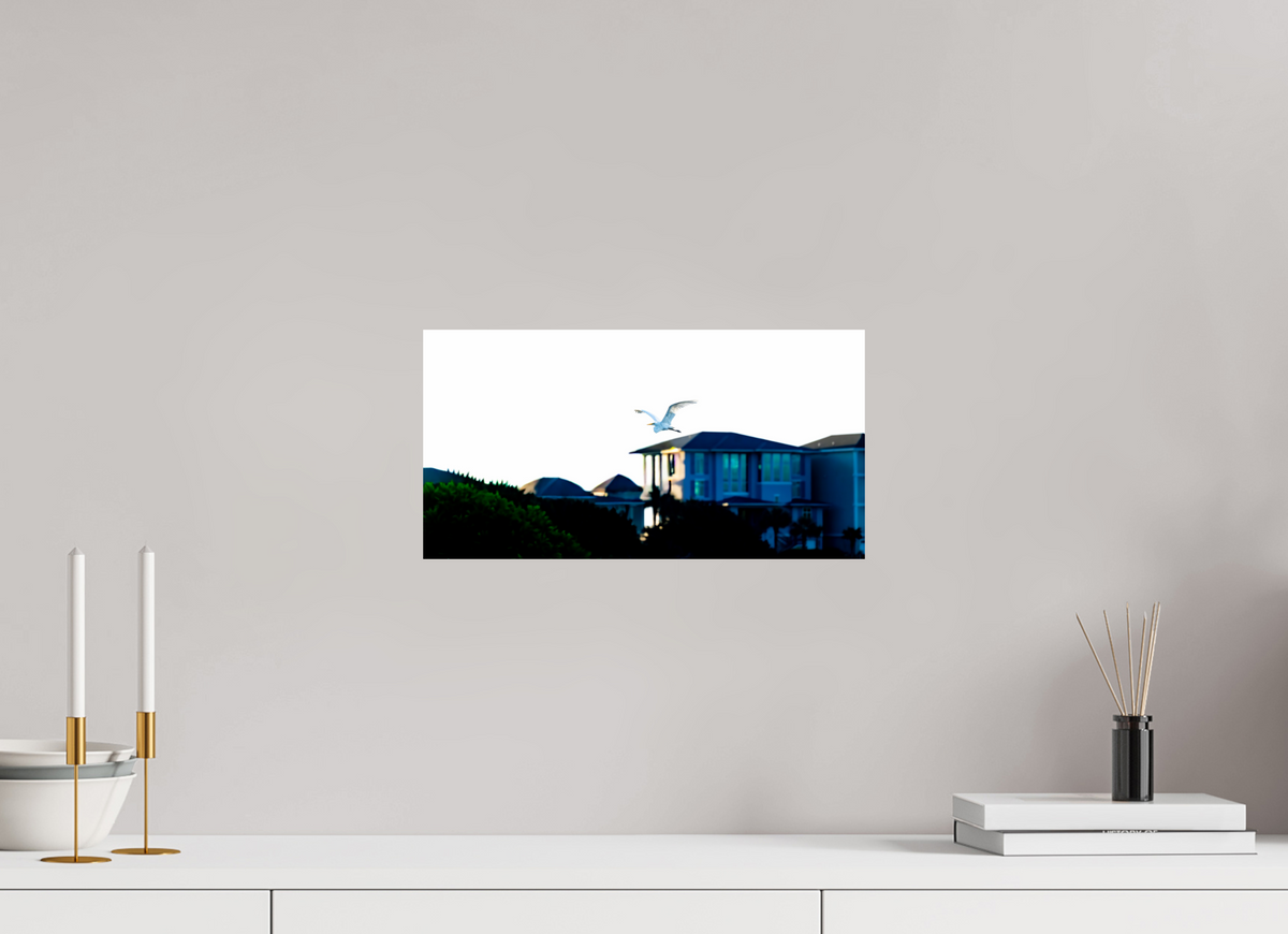 15.4 x 8″, Photo Print On Fuji Crystal DP II White Egret Flying Over Coastal Beach House