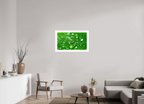 Emerald Morning Dew Luxury Hydrating Beauty
